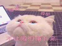 江苏百涵物流有限公司