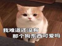 江苏百涵物流有限公司