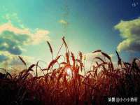 江苏百涵物流有限公司