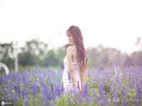 江苏百涵物流有限公司