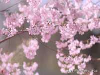 江苏百涵物流有限公司