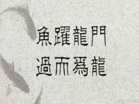 江苏百涵物流有限公司