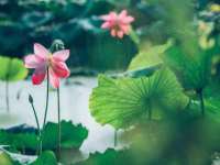 江苏百涵物流有限公司