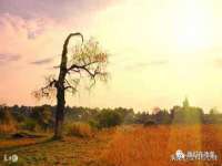 江苏百涵物流有限公司