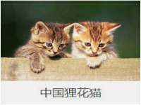 江苏百涵物流有限公司