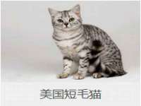 江苏百涵物流有限公司