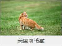 江苏百涵物流有限公司