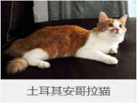江苏百涵物流有限公司