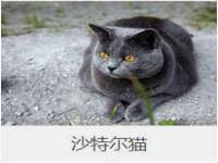 江苏百涵物流有限公司