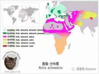 江苏百涵物流有限公司