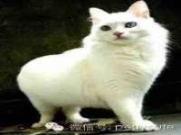 江苏百涵物流有限公司