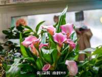 江苏百涵物流有限公司