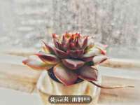江苏百涵物流有限公司