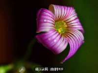 江苏百涵物流有限公司