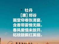 江苏百涵物流有限公司