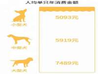 江苏百涵物流有限公司