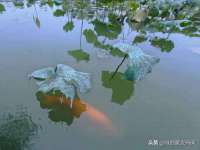 江苏百涵物流有限公司