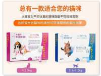江苏百涵物流有限公司