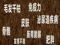江苏百涵物流有限公司