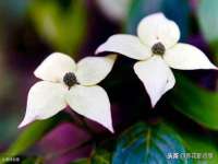 江苏百涵物流有限公司