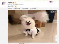 江苏百涵物流有限公司