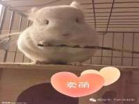 江苏百涵物流有限公司