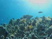 江苏百涵物流有限公司