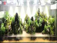 江苏百涵物流有限公司