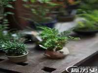 江苏百涵物流有限公司