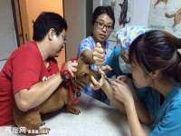 江苏百涵物流有限公司