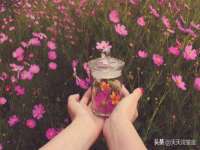 江苏百涵物流有限公司