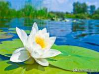 江苏百涵物流有限公司