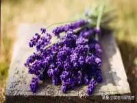 江苏百涵物流有限公司