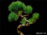 江苏百涵物流有限公司