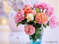 江苏百涵物流有限公司