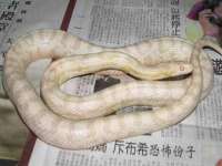 江苏百涵物流有限公司